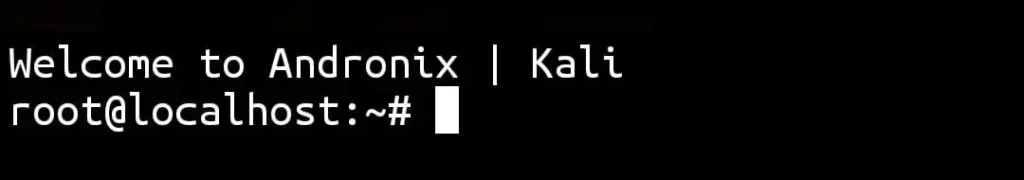Kali Linux successfully installed
