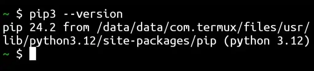 Check Pip3 Version