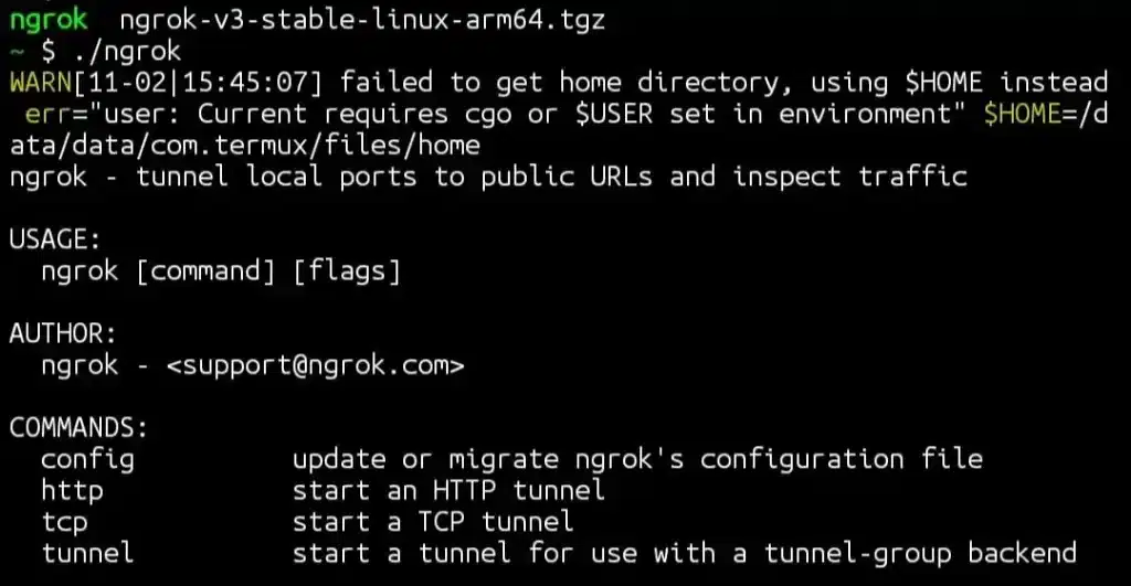 Ngrok is successfully installed