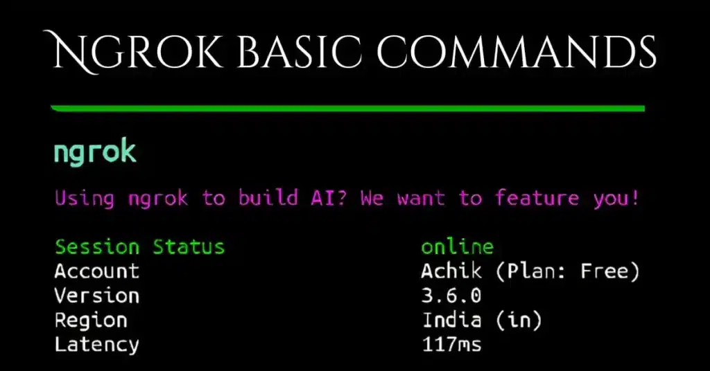 Ngrok Basic Commands
