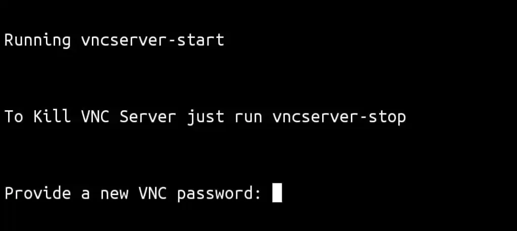 Set Vnc password