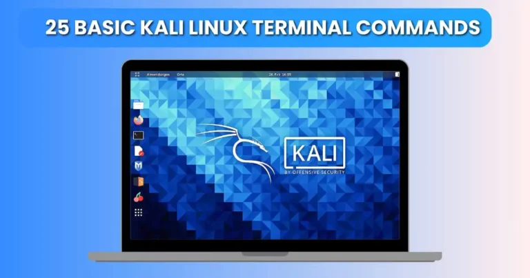 Kali Linux terminal commands for beginners