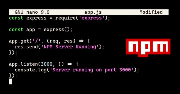 NPM Terminal usage and basic commands