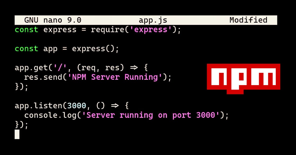NPM Terminal usage and basic commands